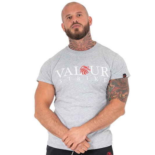 Grey T-Shirt – Men’s Sports Training Tee for Gym Fitness & Casual-wear